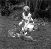 Tiger-Lion cubs at Caribbean Gardens zoological park - Naples, Florida