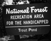 A sign of "National Forest Recreation Area for the Handicapped" - Apalachicola National Forest, Florida.