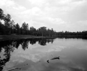 Lake view at national forest recreation area for the handicapped - Apalachicola National Forest, Florida.