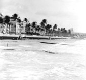 Apartment houses on the beach - Palm Beach Region, Florida.