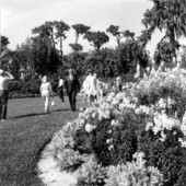 People walking through Cypress Gardens- Cypress Gardens, Florida