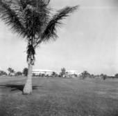 Indies Inn and Yacht Club - Duck Key, Florida.
