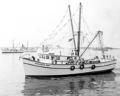 Atlantic Sun shrimp boat - Fernandina Beach, Florida