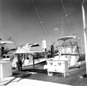 Boating dock area - Marathon, Florida