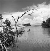 Card Sound bridge in Key Largo