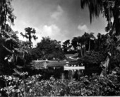 Group of sightseers in a boat at Cypress Gardens- Cypress Gardens, Florida