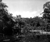 McKee Jungle Gardens - Vero Beach, Florida.