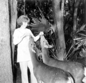 Woman feeding deer at the Masterpiece Gardens - Lake Wales, Florida