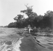 Rainbow Springs canoe races