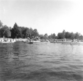 Rainbow Springs canoe races