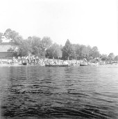 Rainbow Springs canoe races