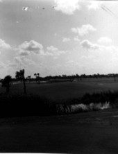 View of the golf course - Punta Gorda, Florida