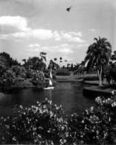Person in a small sailboat at Cypress Gardens- Cypress Gardens, Florida