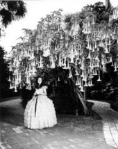 Southern belle standing near bell trumpets- Cypress Gardens, Florida