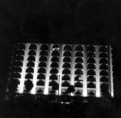Cape Royal Office Building - Cocoa Beach, Florida