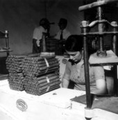 A woman hand rolling Padron cigar in a Cuban cigar factory - Miami, Florida.