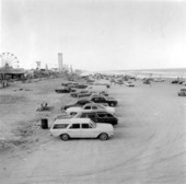 Parked cars at Daytona Beach