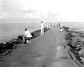 Fishing from a jetty - Venice, Florida