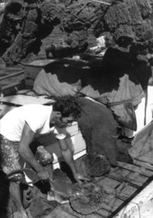 Tarpon Springs sponge boat