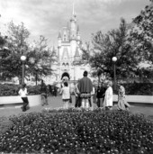 View of the castle at the Magic Kingdom - Orlando, Florida.