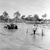 Naples' Swamp buggy races - Naples, Florida