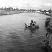 Overturned swamp buggy in Naples' Swamp buggy race - Naples, Florida