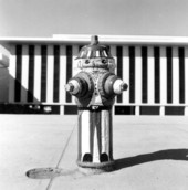 Fire hydrant, near the capitol, decorated for the American Bicentennial celebration - Tallahassee, Florida