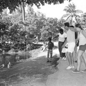 Visitors enjoying the sights at Crandon Park Zoo - Miami, Florida.