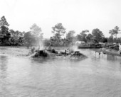 Swamp buggy races - Naples, Florida