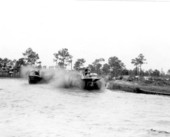 Swamp buggy races - Naples, Florida