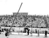 Caber-toss at the Highland Games Festival - Dunedin, Florida