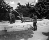 Family taking pictures at the Okalee Indian Village and Crafts Center