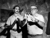 Two men extract venom from snake at Sarasota Jungle Gardens - Sarasota, Florida