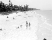 Beach - Naples, Florida