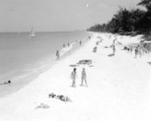 Beach - Naples, Florida