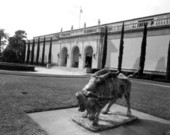 Bronze sculpture replica of Lygia and the Bull at Ringling Art Museum - Sarasota, Florida