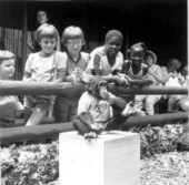 Children enjoying antics of chimpanzee at Monkey Jungle - Miami, Florida.