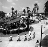 View of attractions at Busch Gardens - Tampa, Florida.