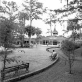 Tourists on the grounds of Silver Springs - Ocala, Florida .
