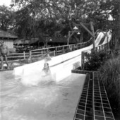 Water slide at Wild Waters attraction - Marion County, Florida