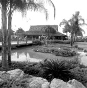 View showing part of Weeki Wachee Springs near Brooksville