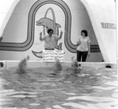 Dolphins "singing" at Marineland of Florida - Marineland, Florida