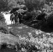 Three people walking through Cypress Gardens - Cypress Gardens, Florida