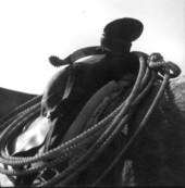 View of saddle and rope - Kissimmee, Florida