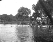 Swimming at De Leon Springs?
