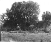 Ruins of the New Smyrna Sugar Mill - New Smyrna Beach, Florida