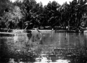Diving at De Leon Springs