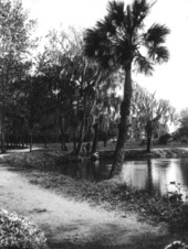Trail leading around De Leon Springs