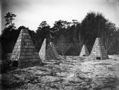 Pyramid shaped shelters protecting the citrus from the cold
