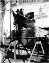 Circus trainer and his bear